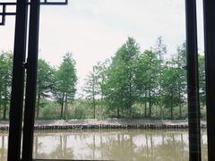 -漩门湾国家湿地公园