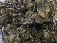 -板桥海鲜广场(文明东店)