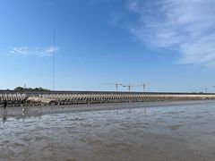 -南汇新城海滩