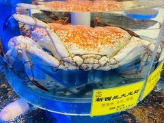 -新海渔港·胶东海鲜家常菜·家宴(奥体中心店)