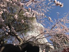 -北海公园