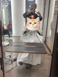 -ON STAR SALON