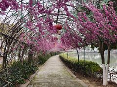 -张公山寨景区