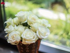 -广州白天鹅宾馆