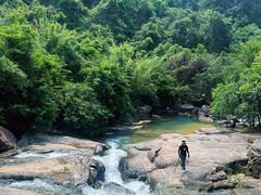 -广州白江湖森林公园