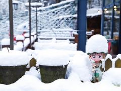 -宁波余姚老柿林山居度假村