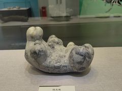 -浙江自然博物院(杭州馆)