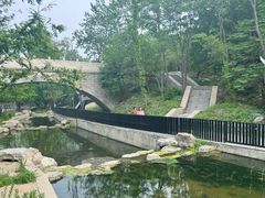 -白水寺森林公园