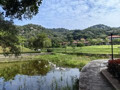 -厦门国家会计学院