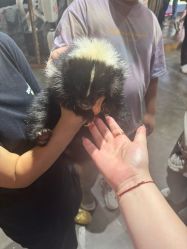 -Zoolung Zoolung动物主题公园(海信广场店)