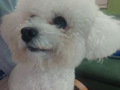 -默迹咖啡馆