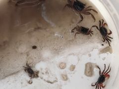 -上海吴淞炮台湾国家湿地公园