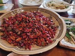 -龙翔山庄雷鸡肉(青城后山泰安古镇店)
