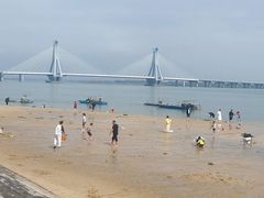 -北海金海湾红树林生态旅游区