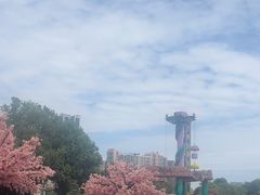 -南湖梦幻岛