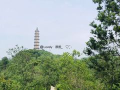 -巢湖姥山岛