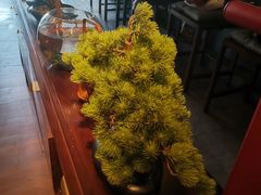 -300杯·和牛烧肉清酒专门店(廊里店)