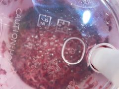 -奈雪的茶(亨特国际广场店)