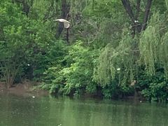 -大兴滨河森林公园