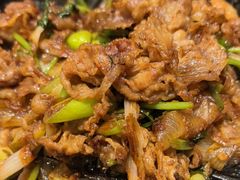 -紫光园·烤鸭(吕家营店)