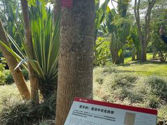 -中国科学院西双版纳热带植物园