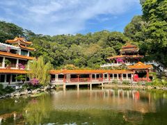 -深圳仙湖植物园