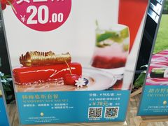 -逸廊大堂吧-下午茶·简餐-千岛湖自由洲际殿