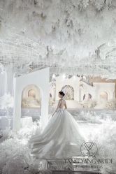 -洋洋婚纱品牌集合店