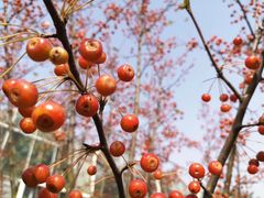 -南通洲际绿博园