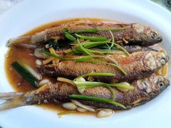 华子鱼-临江米莉莎饭店