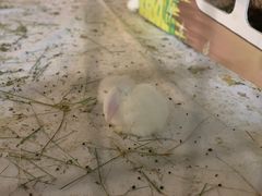 -枫叶小镇奥特莱斯