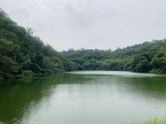 -李小龙乐园(顺德均安店)