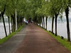 -艾溪湖湿地公园