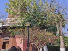 -东莞植物园