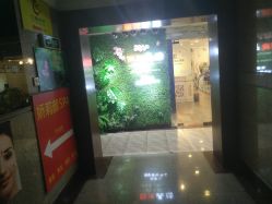 -西施无菌半永久纹绣眉眼影唇轻增发纹发际线