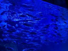 -太平洋海底世界