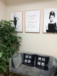 -演员的秘密·皮肤管理