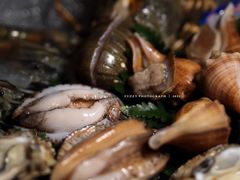 -白仁仔· 活烤海鲜 宵夜(豫园店)