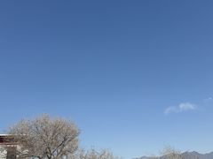 -老光明岗琼甜茶馆