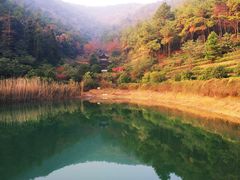 九龙潭正面全景-旺山景区