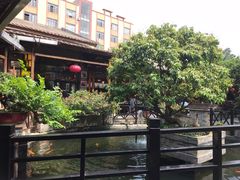 -猪肉婆私房菜(容桂总店)