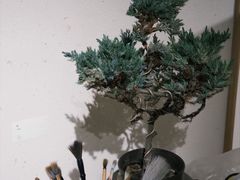 -Fun Job Art 零基础油画国画DIY画室(望京店)