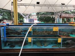 水产区-荔城生鲜盛宴(番禺旗舰店)