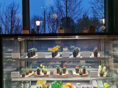 盆栽样子的甜品-窗外西餐厅(普罗理想国店)