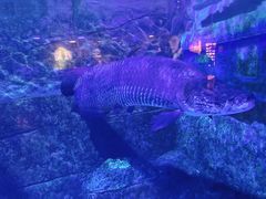 -成都浩海立方海洋公园