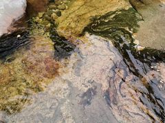 -少华山国家森林公园