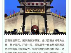 -秦始皇帝陵博物院(兵马俑)
