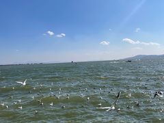 -海埂大坝