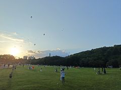 -莲花山公园