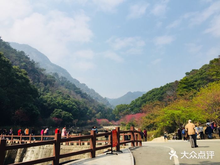 福州國家森林公園圖片